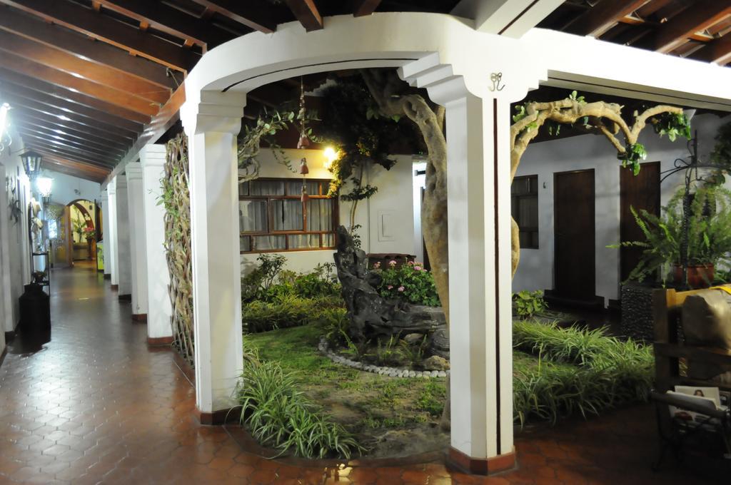 Hotel Oro Viejo Nazca Zewnętrze zdjęcie